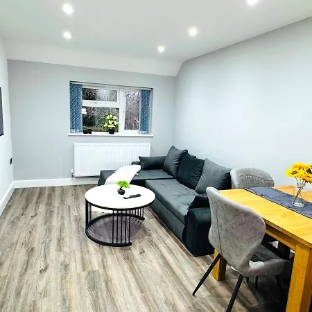 Stylish In Apartment